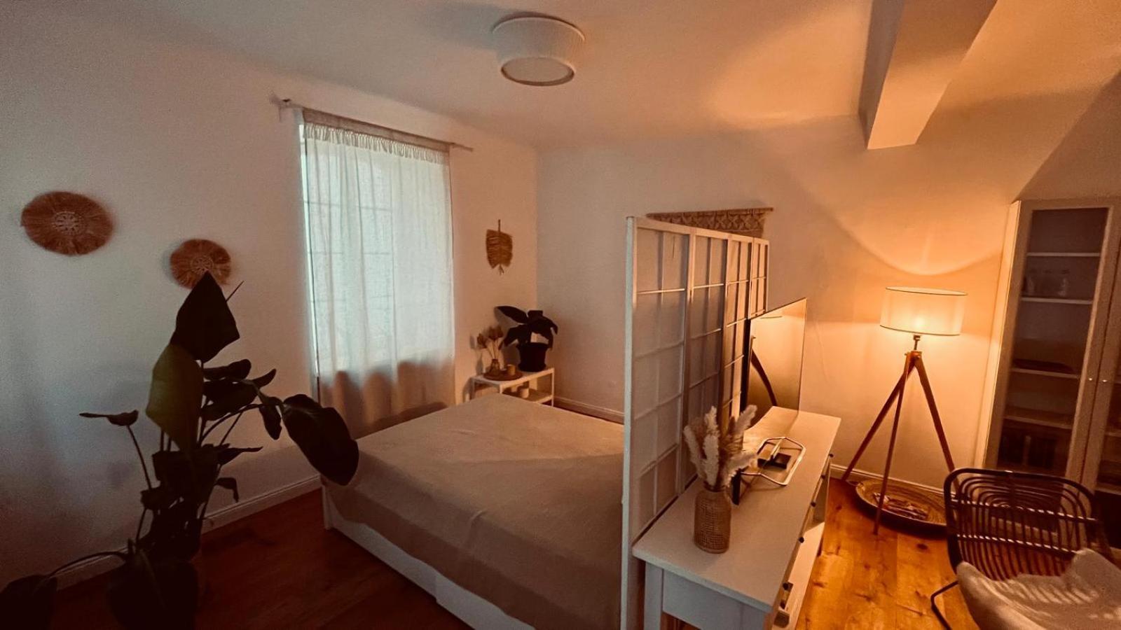 Apartment Am Schloss - Charme ザールブリュッケン エクステリア 写真