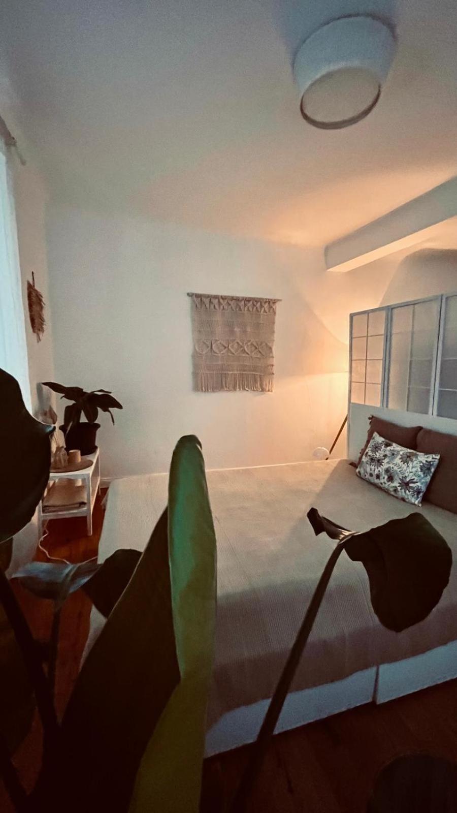 Apartment Am Schloss - Charme ザールブリュッケン エクステリア 写真