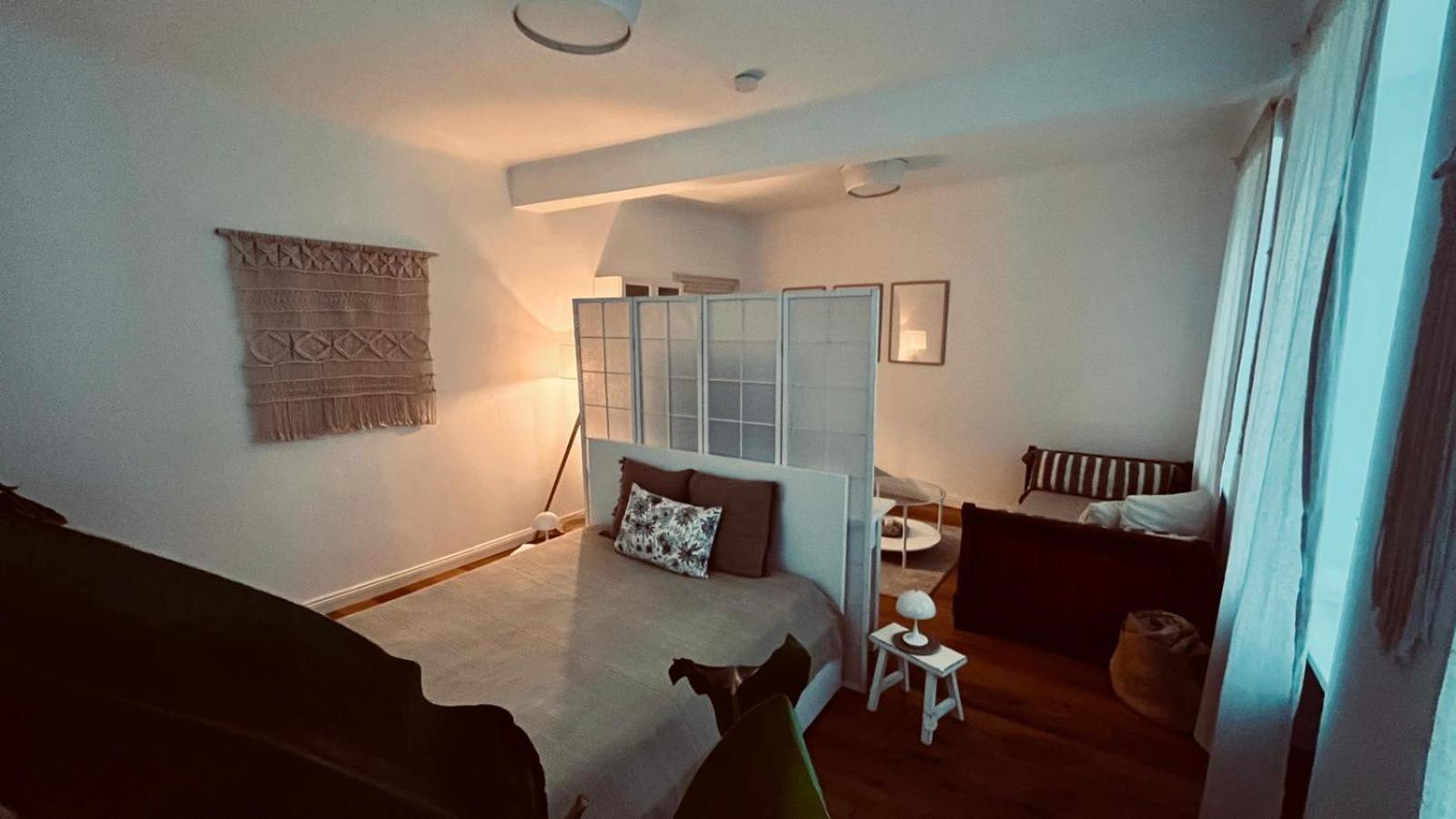 Apartment Am Schloss - Charme ザールブリュッケン エクステリア 写真